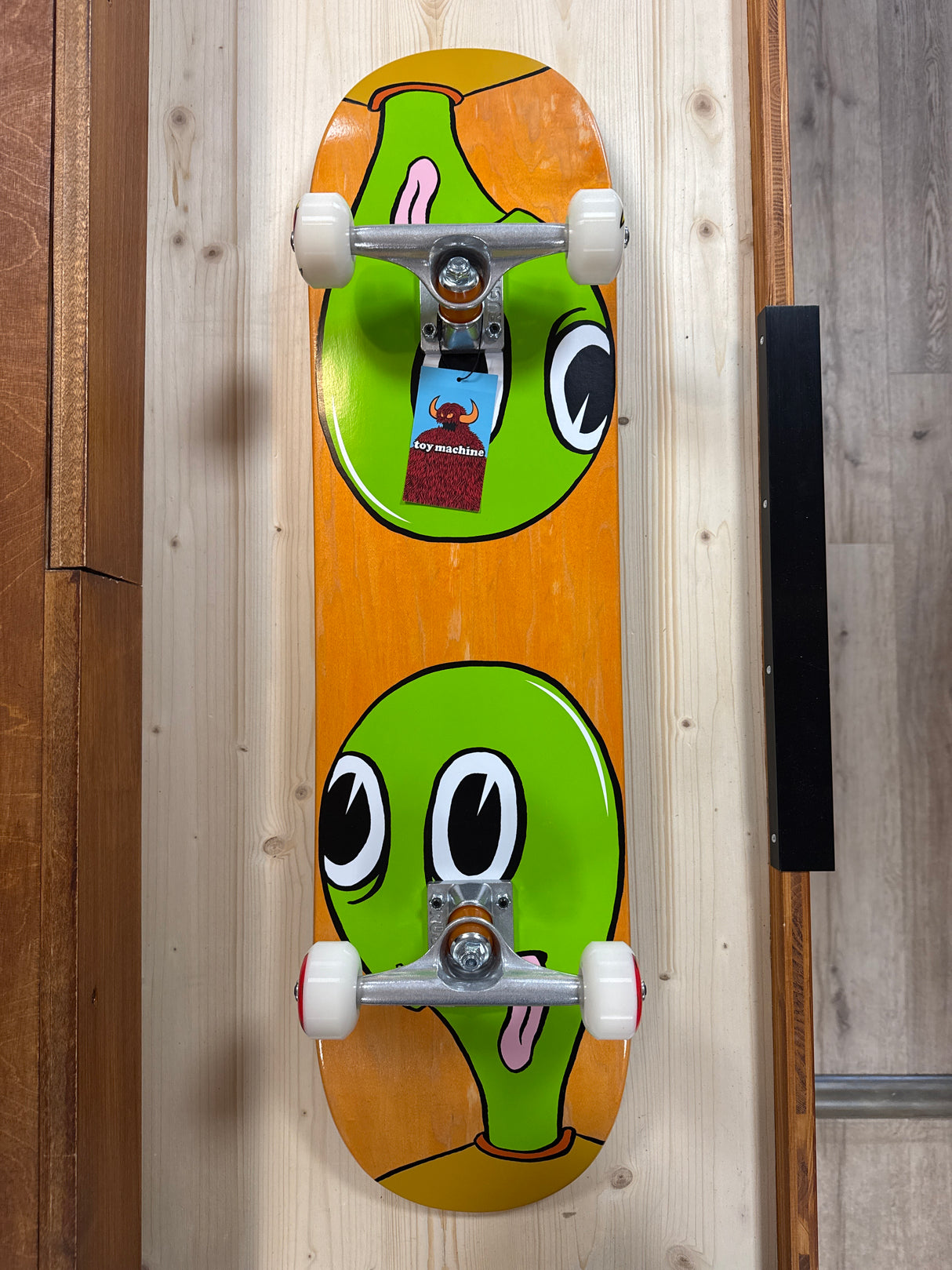 Turtle Sym multicolored, 8