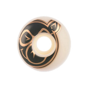 pig_head_prime_line